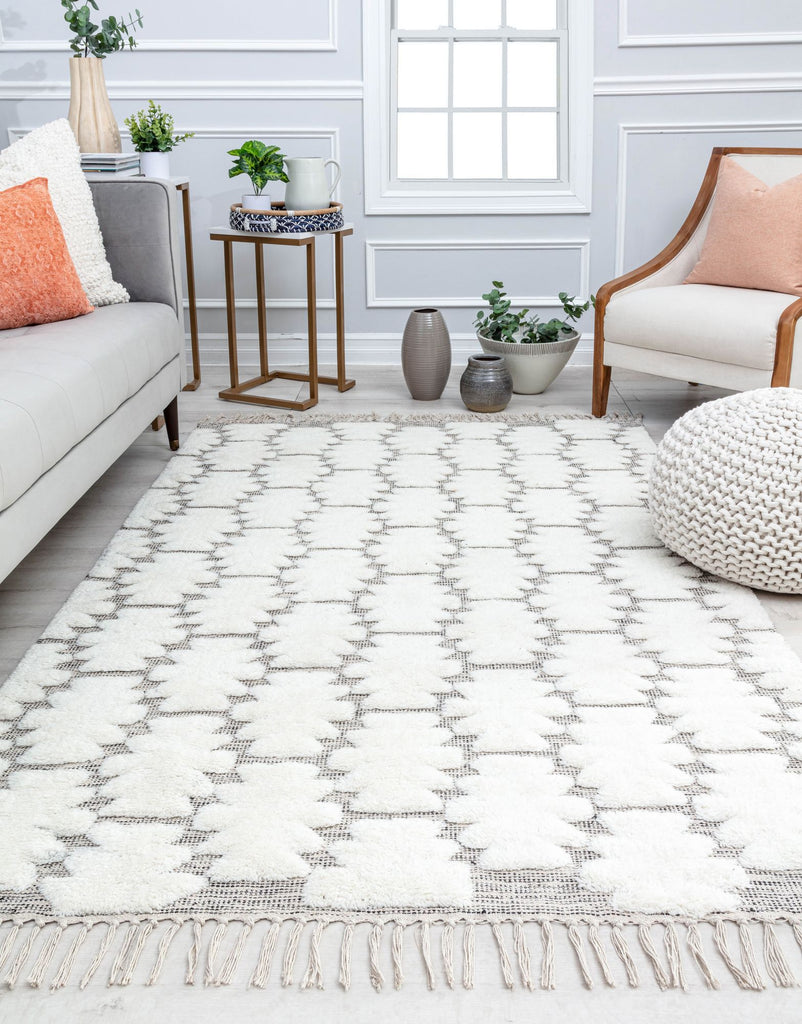 Our beautiful Carter,Ivory Astra,Carter Ivory Astra,2’0”x3’0”,Bohemian ,Pile Height: 1,Cotton,Wool,Hi Lo ,Bohemian ,Textured/Trellis ,White ,Gray ,India,Rectangle,CR10A Area Rug