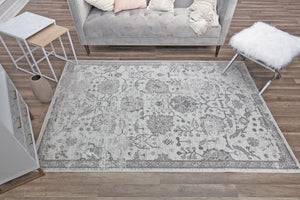 Our beautiful Freya,Icy Grey,Freya Icy Grey,2'6"x4',Farmhouse,Pile Height: 0.4,Soft Touch,Polypropylene,Soft Touch,Farmhouse,Vintage,Light Gray,Dark Grey,Turkey,Rectangle,FY30A Area Rug