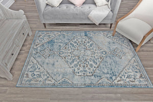 Living room with a gray sofa, beige chair, and a distressed blue and gray rug featuring a central medallion pattern, enhancing the decor.