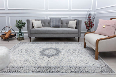 Our beautiful Hailey,Silver Song,Hailey Silver Song,2'6" x 4',Vintage,Pile Height: 0.5,Durable,Polypropylene,Soft touch,Durable,Vintage,Abstract,Gray,White,Turkey,Rectangle,HY60D Area Rug