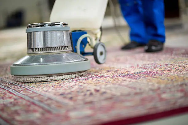 Deep Clean Your Rugs